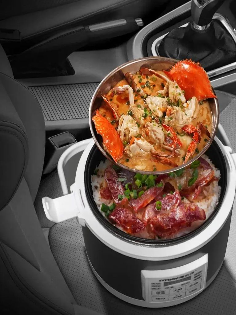 ARIER 12-24V 220V Rice Cooker  - Camping Cooking Cup recension och pris