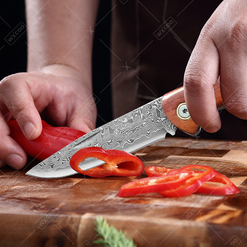 WXCOO Folding Knife Pocket Kni - Camping Cooking Knife recension och pris